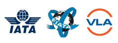 logoAss1